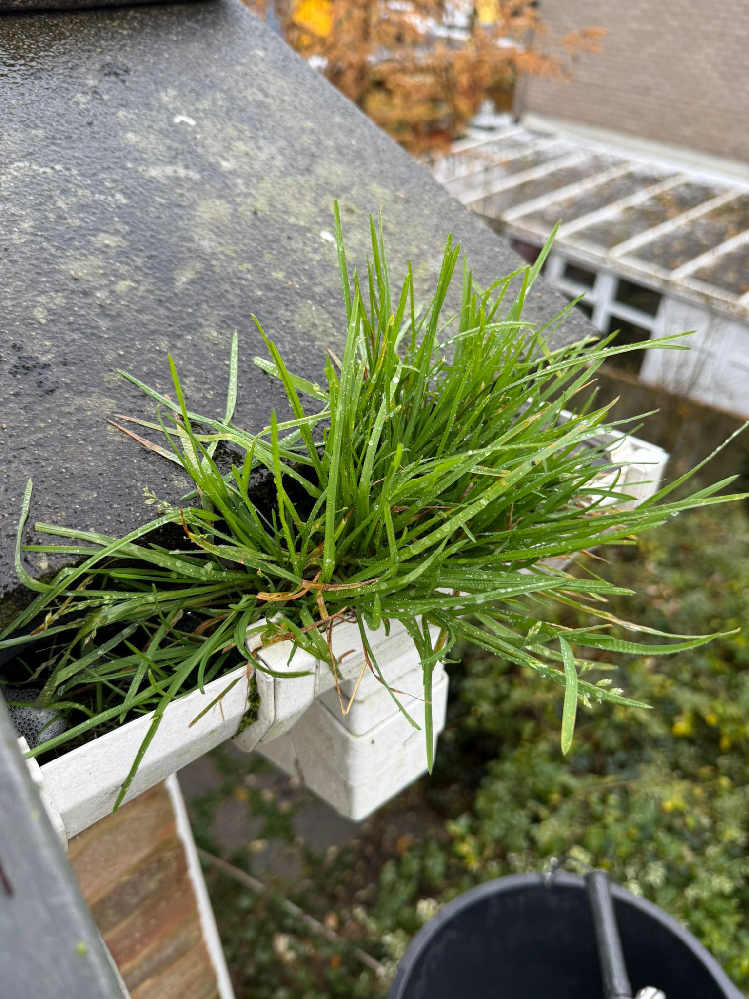 Blocked gutter downpipe  - Weston Underwood Gutter Clearance is the solution!